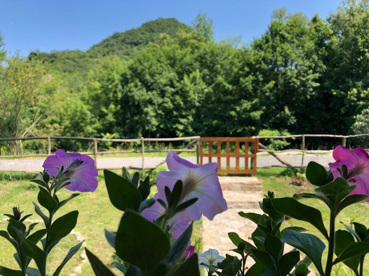 וירפזאר Orahovo Cottages מראה חיצוני תמונה